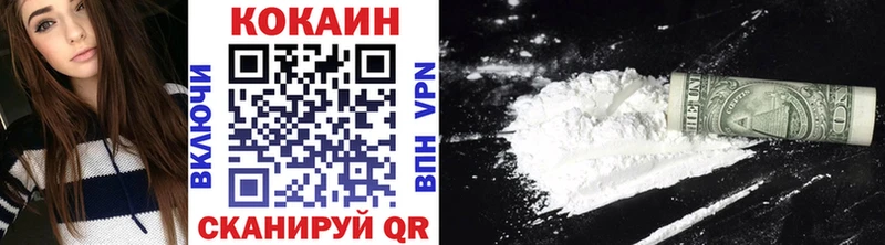 Купить закладки  Заринск  Кокаин Fish Scale 