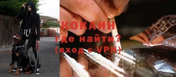 стафф Зерноград