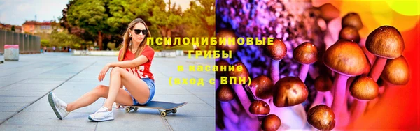 стафф Зерноград