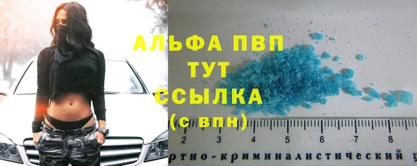 СК Зеленодольск